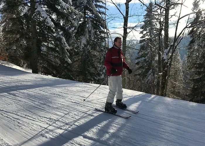 Le Chevreuil * Autrans-Meaudre-en-Vercors